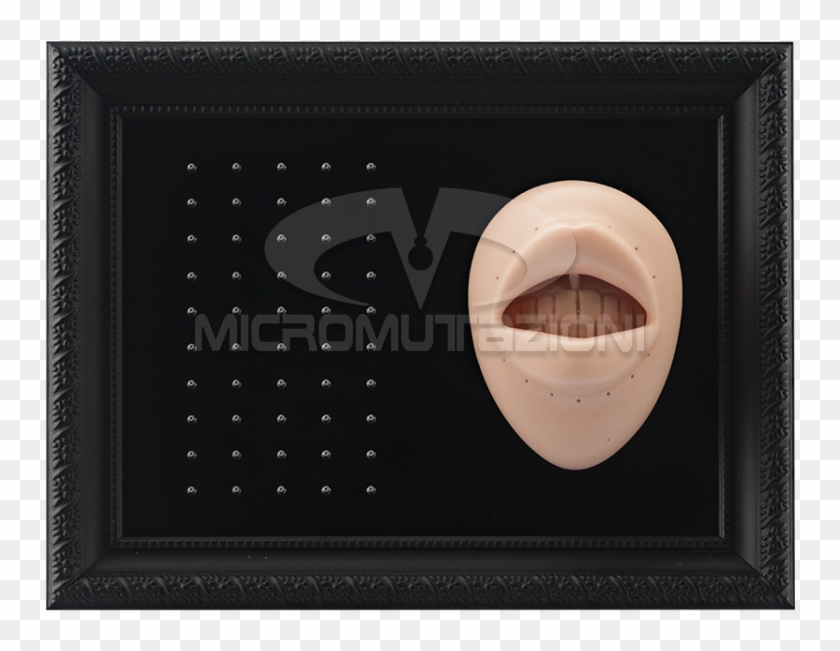 Tattooable Lip Body Parts Display For Internal Micro - Circle Clipart