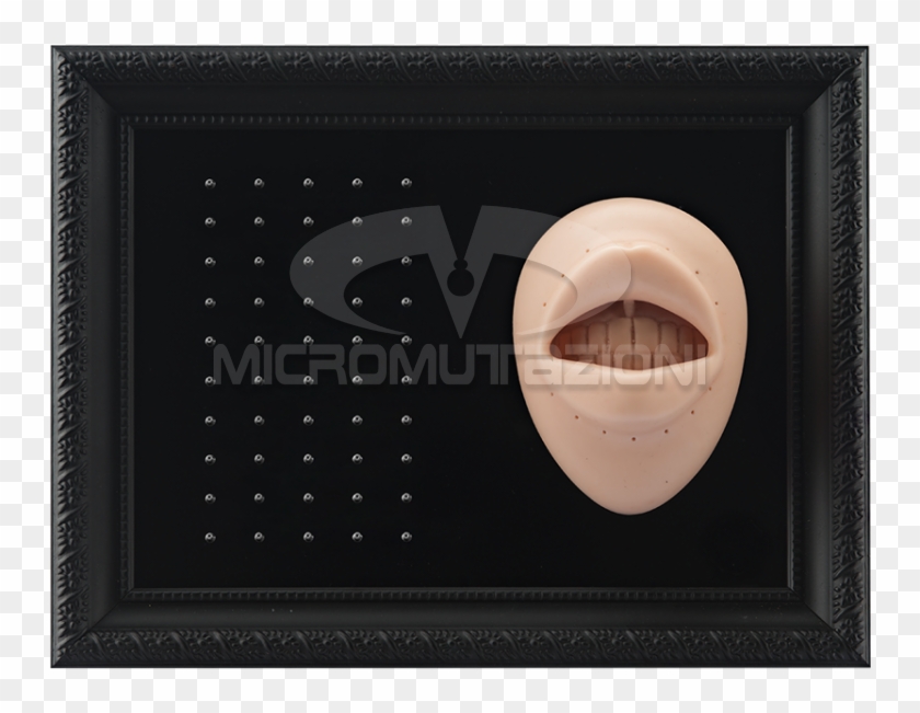 Tattooable Lip Body Parts Display For Internal Micro - Circle Clipart #1956682