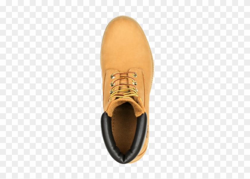 Timberland 6 Inch Top View Clipart