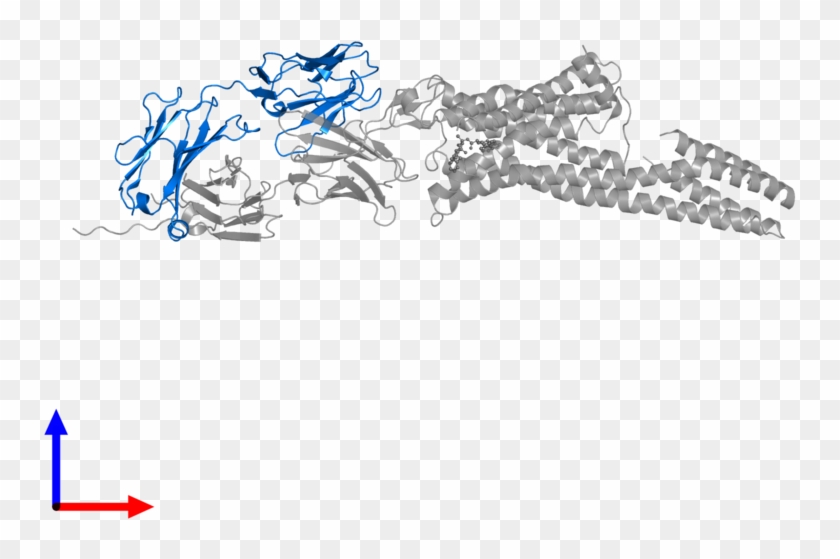 <div Class='caption-body'>pdb Entry 5tud Contains 1 Clipart