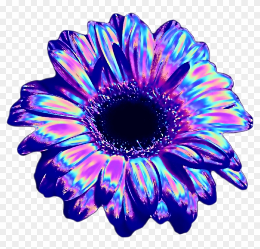 Fullsize Of Vaporwave Transparent Tumblr Clipart