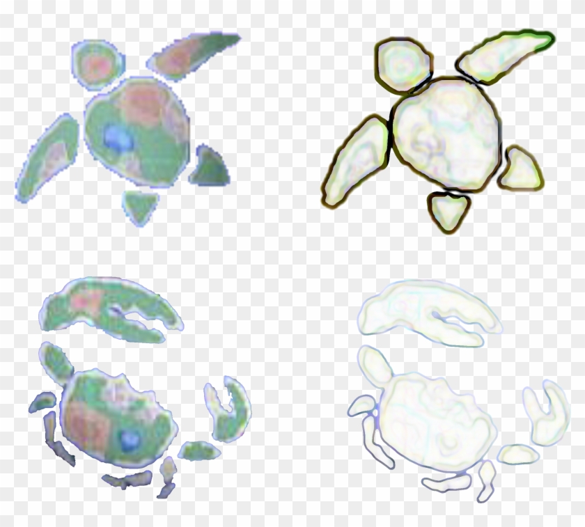 Here Are - Green Sea Turtle Clipart #1960490