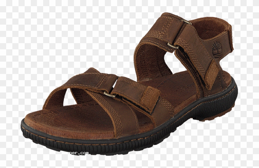 Timberland Men Hollbrook Sandal Brown Men-hln6h - Slide Sandal Clipart #1961534