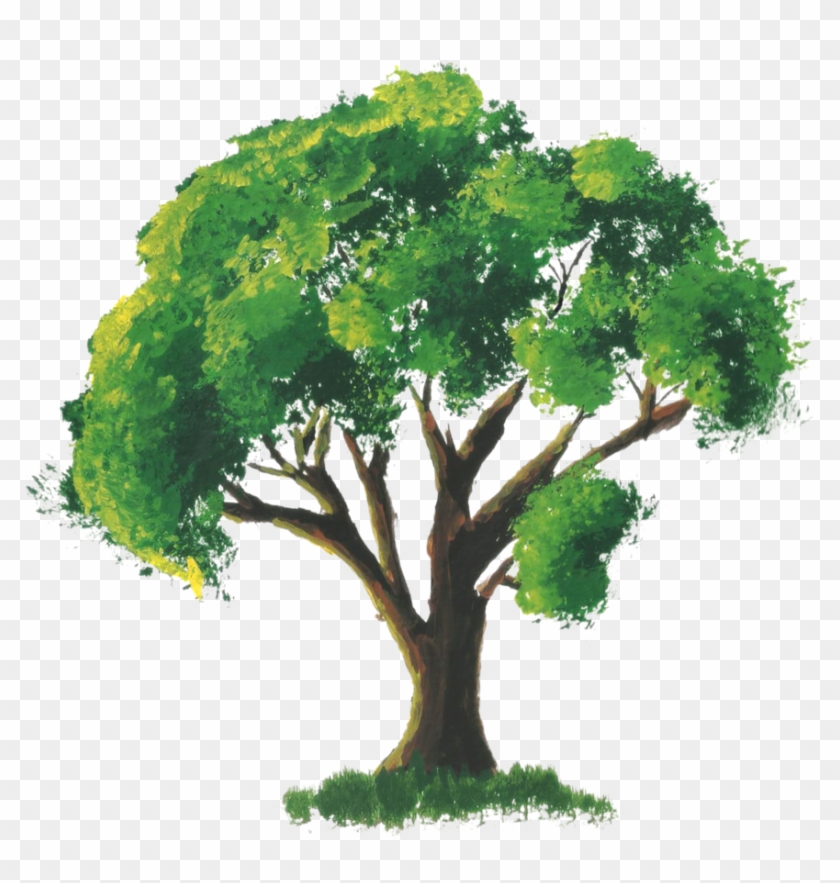 By Amit Grubstien - Watercolour Tree Transparent Background Clipart #1961836