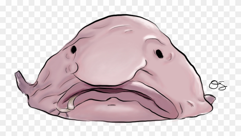 Blobfish Png - Blob Fish Drawing Clipart