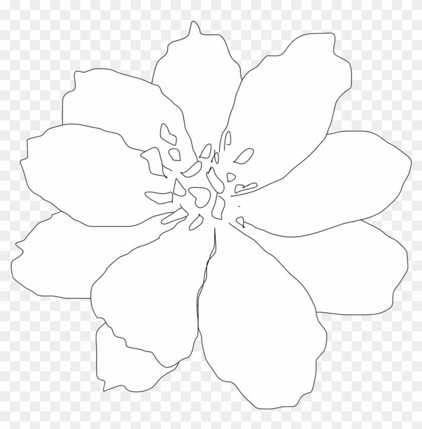 White Flowers Clip Art - Line Art - Png Download