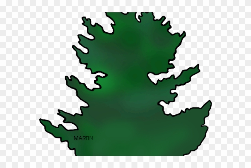 Fir Tree Clipart California Redwood - Png Download