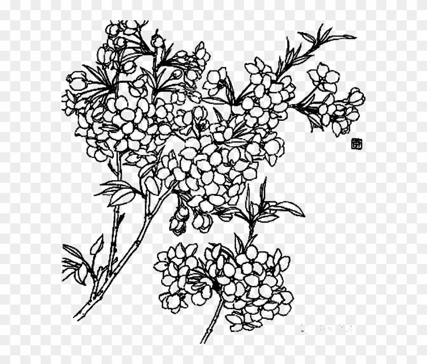 Clipart Royalty Free Stock Flowers Line Branch Transprent - Dibujos De Ramas De Flores - Png Download