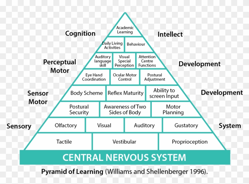 Pyramid Of Learning Clipart