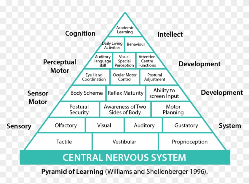 Pyramid Of Learning Clipart #1966973
