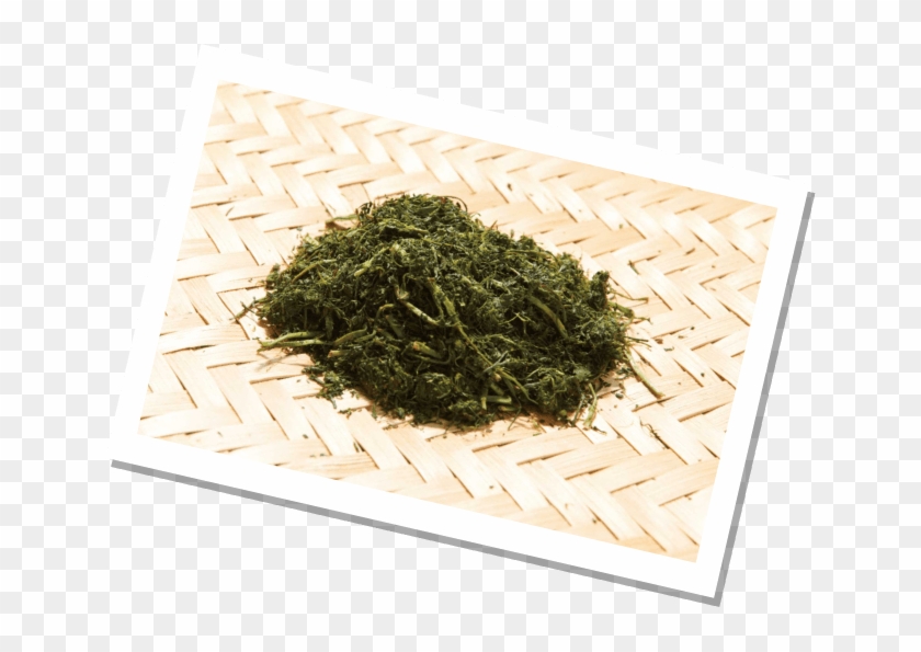 We Pay Attention To The Air Volume And The Humidity - Aonori Clipart