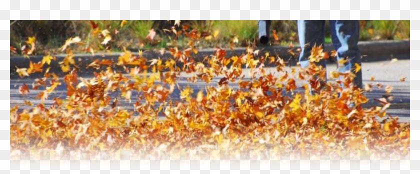 Leaf Blower Clipart #1968739