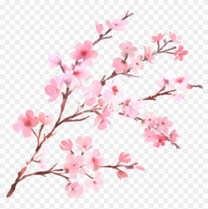 Clipart Png Download Cherry Blossom Free Png Transparent - Transparent Background Cherry Blossom Png #1968744