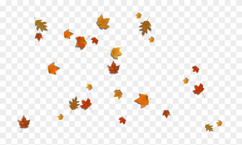 Leaf Clipart