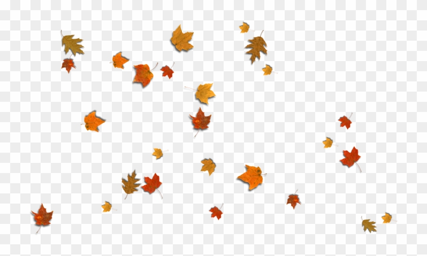 Leaf Clipart #1968817