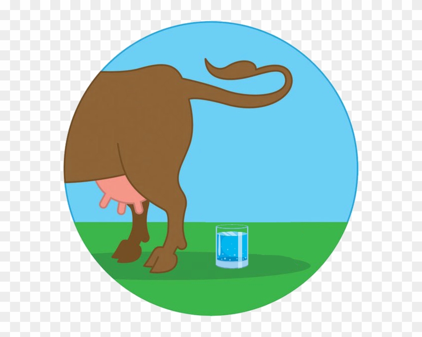 Cow Manure In Potsdam's Drinking Water Clipart #1968937