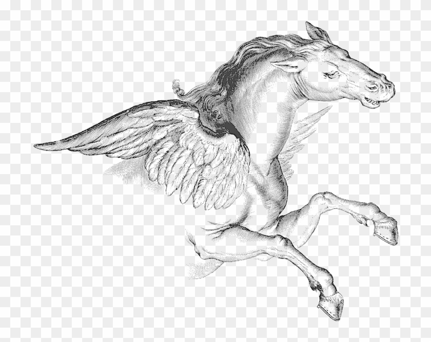 Pegasus Transparent Png - Pegasus Constellation Clip Art