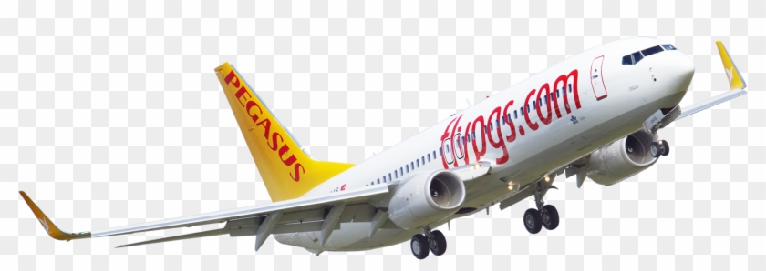 Pegasus Airline Png Clipart #1969472