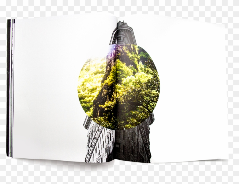 20171020-img 0435 New - Tree Stump Clipart #1970262