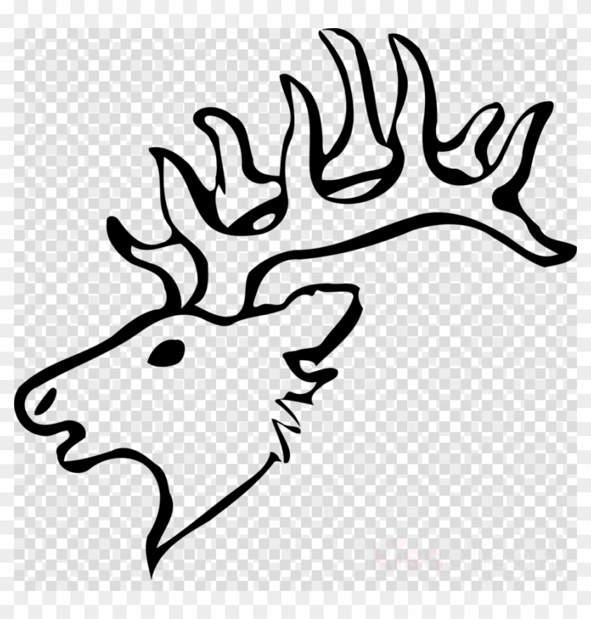 Draw A Deer Head Clipart Reindeer White-tailed Deer - Easy White Tailed Deer Drawing - Png Download