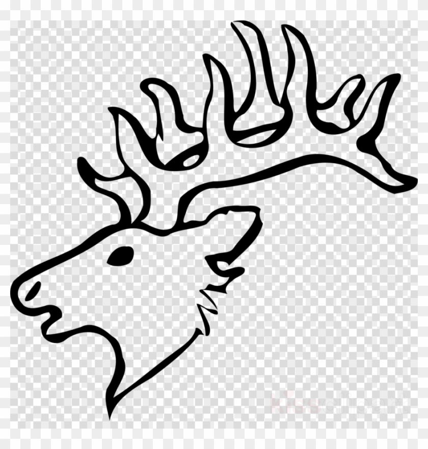Draw A Deer Head Clipart Reindeer White-tailed Deer - Easy White Tailed Deer Drawing - Png Download #1970507