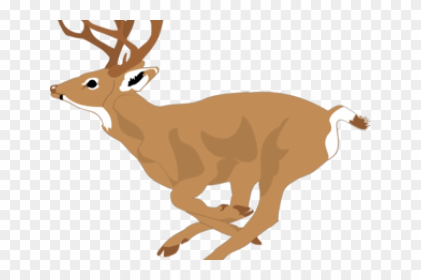 Mule Deer Clipart - Png Download