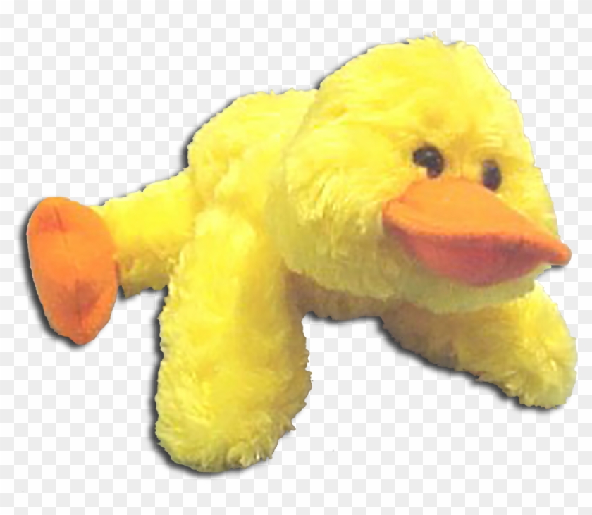 duck stuffy