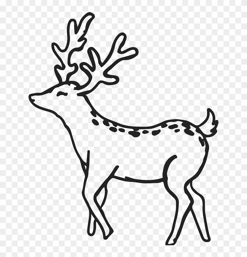 800 X 800 2 - Elk Clipart #1970934