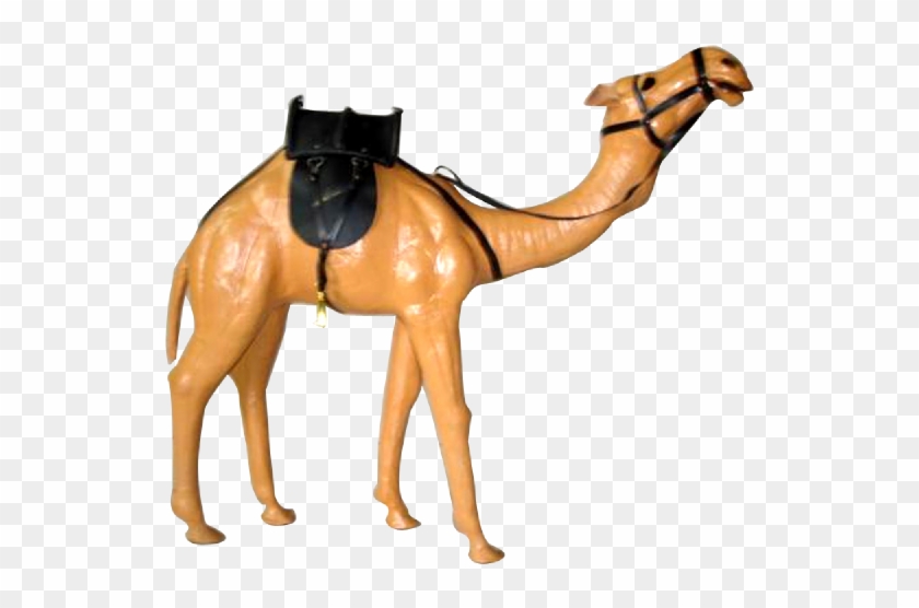 As Per Customer Specification - Arabian Camel Clipart