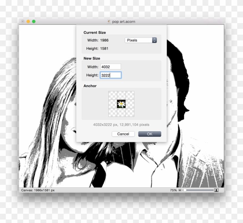 Screen Shot 2015 06 04 At - Pop Art Black And White Photo Editor Clipart #1973173
