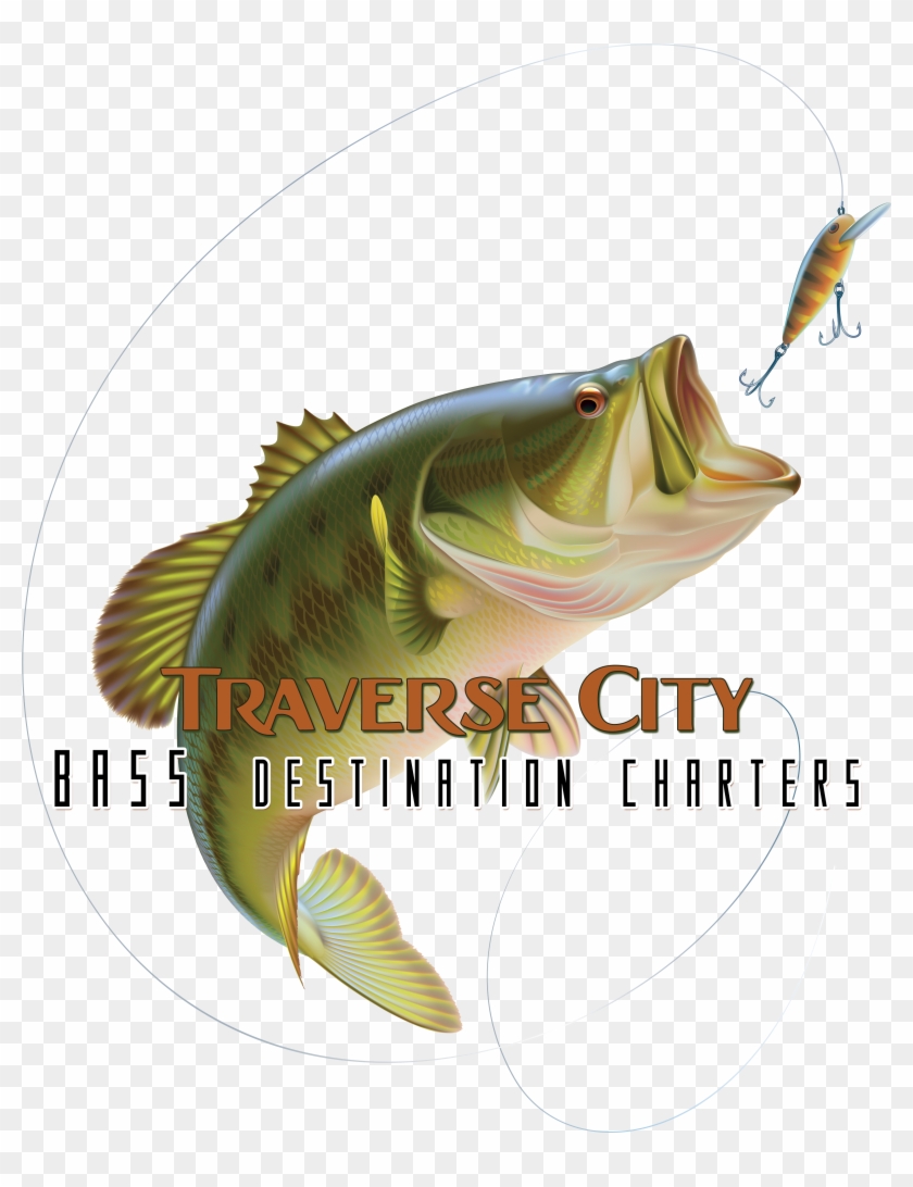 We Offer The Best Bass Fishing - Largemouth Bass Clipart