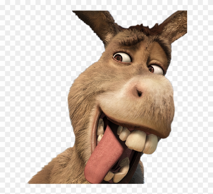 Resultado De Imagen De Burro Png Clipart