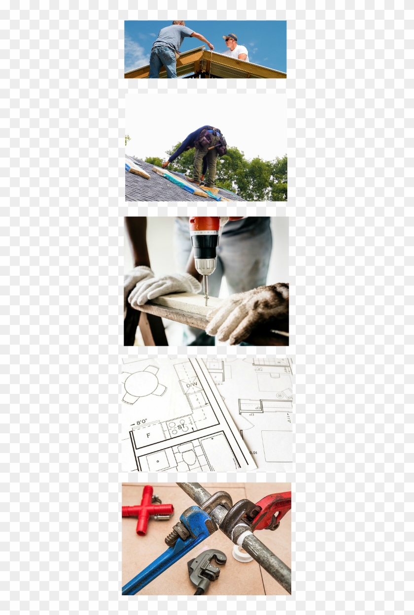 What We Do - Macaw Clipart