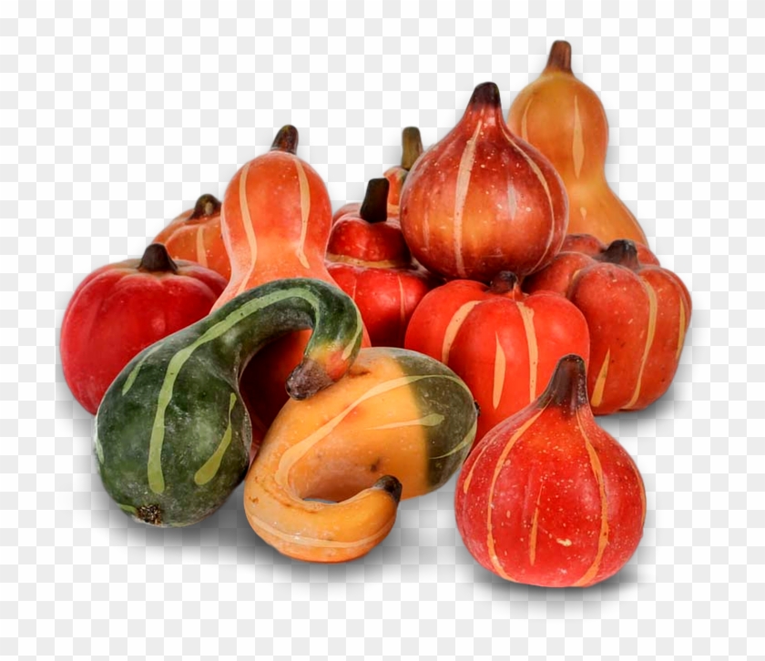Pumpkin, Fall, Autumn, Harvest, Thanksgiving, Season - Calabaza Clipart