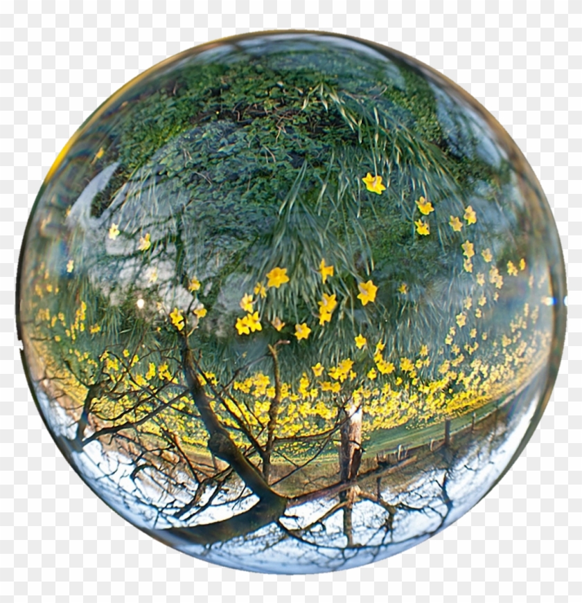 Pretty Droplet - Обои На Рабочий Стол Красивые Clipart