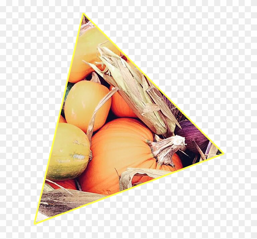 Thanksgiving Is A Tradition Enjoyed By America And - Yellow Onion Clipart