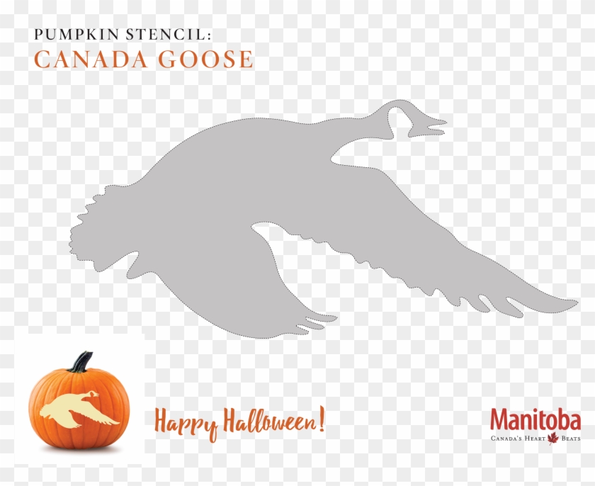 Canadian Goose Pumpkin Carving Stencil Clipart