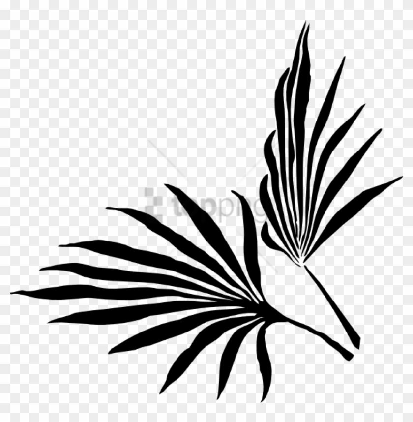 Free Png Palm Leaf Silhouette Vector Png Images Transparent - Palm Frond Clip Art@pikpng.com