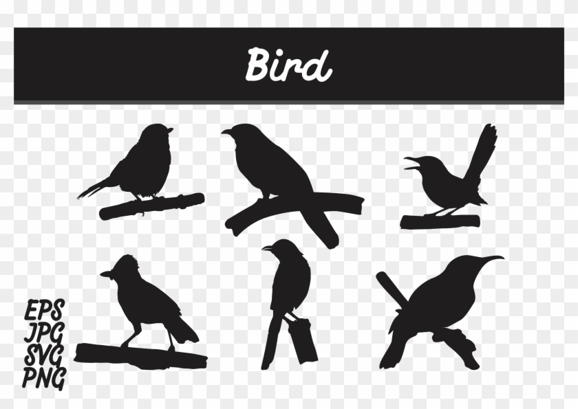 Bird Silhouette Set Svg Vector Image Bundle Graphic - Batik Mega Mendung Vector Png Clipart #1977324