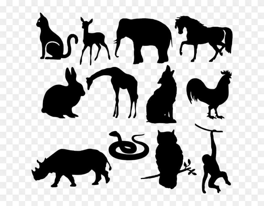 Mystery Animal Clipart