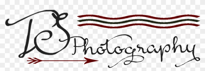 Ts Photography Logo Png , Png Download Clipart