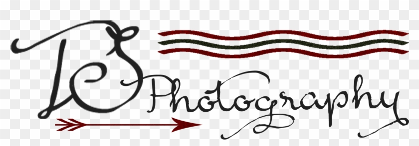 Ts Photography Logo Png Png Download Clipart Pikpng
