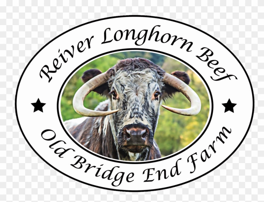 Bull Clipart #1980083