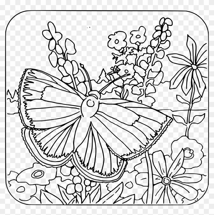 Butterfly Coloring Pages For Girls With Coloring Book - Back To School Coloring Pages Clipart