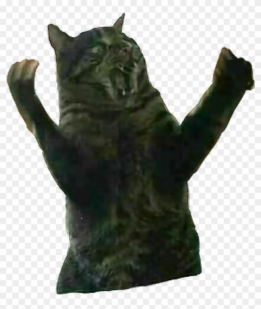 Remixit Cat Fatcat Surprise Rage Angry Animal Anim - Dragon Li Clipart #1982078