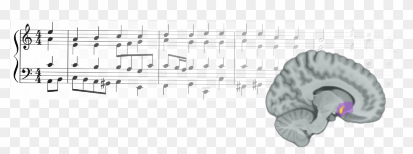The Researchers Found That Reward Prediction Errors - Music Activates Our Brain's Rewards Center Clipart