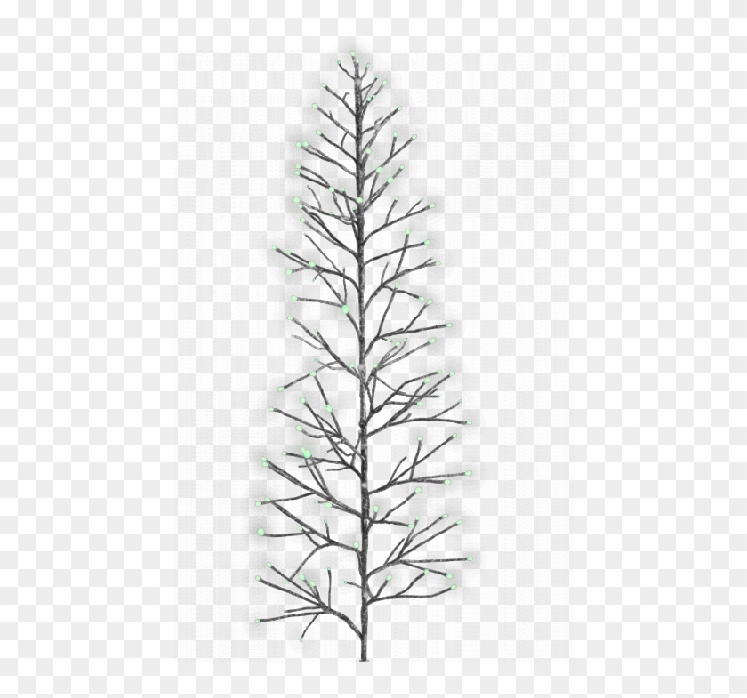 Christmas Tree Clipart