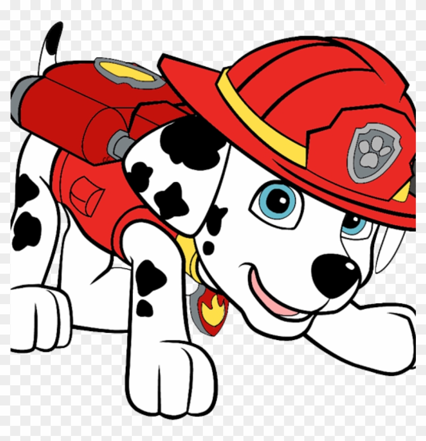 Clipart Library Library Vector Clip Art Inspiration - Marshall Paw Patrol Png Transparent Png #1984541