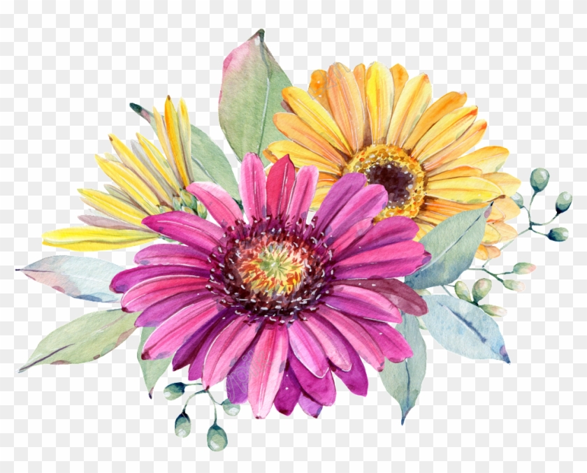 Chrysanthemum Flowers Png Image File Clipart