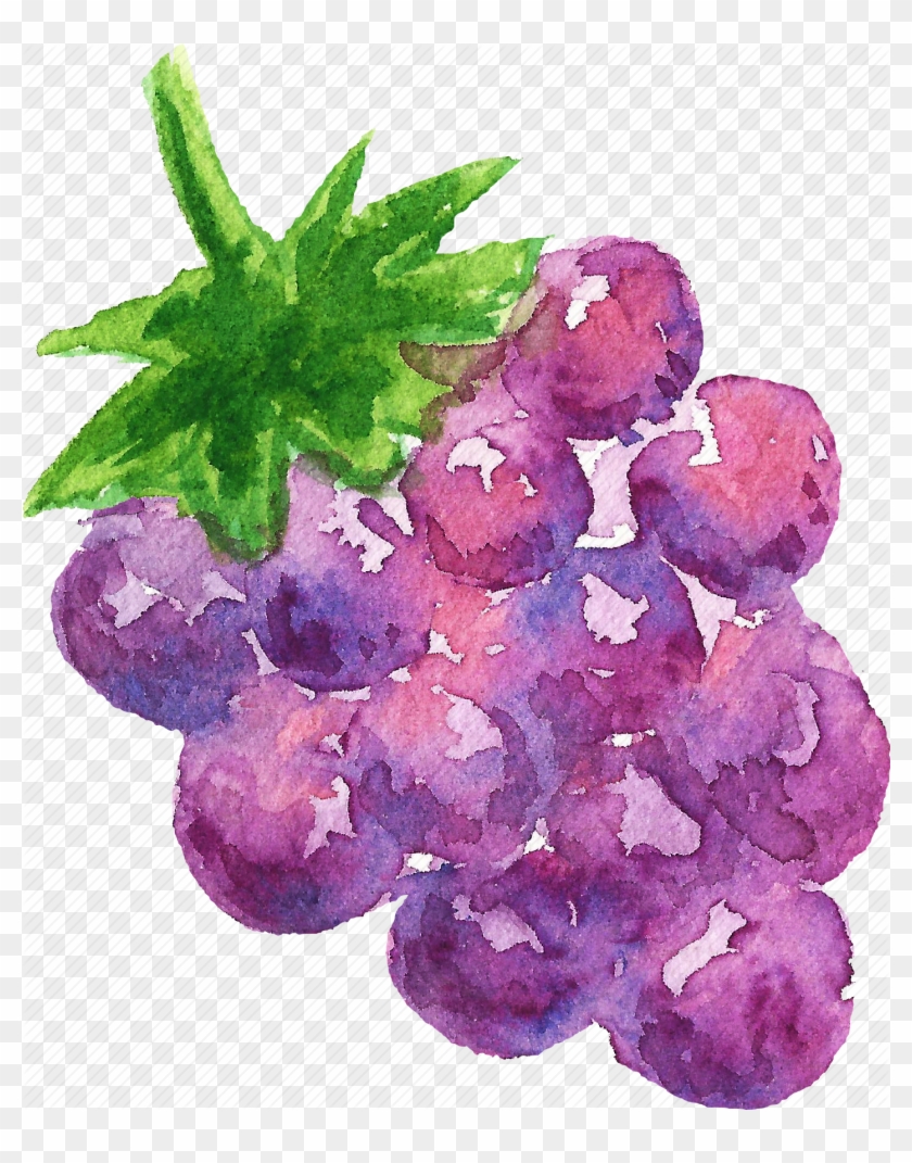 Cuisine, Food, Fruit, Fruits, Grape, Watercolor, Watercolors Clipart